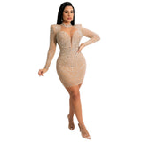 Fancy Sleeve  Mini Dress