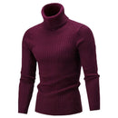 Knitted Roll Neck Turtleneck