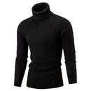 Knitted Roll Neck Turtleneck