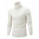 Knitted Roll Neck Turtleneck