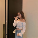 Off Shoulder Long Sleeve Tube Top