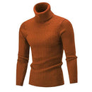 Knitted Roll Neck Turtleneck