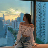 Off Shoulder Long Sleeve Tube Top