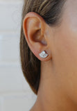 Double Shine Earrings -2