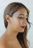 Double Shine Earrings -6