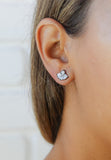 Double Shine Earrings -16