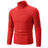 Warm Slim Turtleneck
