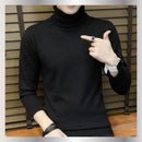 Pullover  Slim Turtleneck