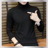 Pullover  Slim Turtleneck