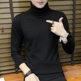 Pullover  Slim Turtleneck