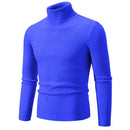 Warm Slim Turtleneck