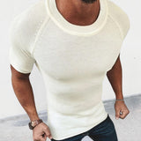 Slim Fit T Sleeve Shirt Top