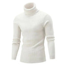 Knitted Roll Neck Turtleneck