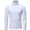 Slim Fit Basic Turtleneck