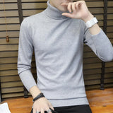 Pullover  Slim Turtleneck