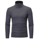 Slim Fit Basic Turtleneck