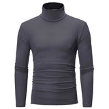 Slim Fit Basic Turtleneck