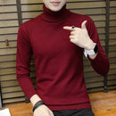 Pullover  Slim Turtleneck