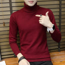Pullover  Slim Turtleneck