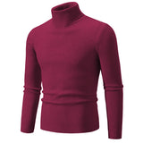 Warm Slim Turtleneck