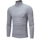 Slim Fit Basic Turtleneck