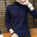 Pullover  Slim Turtleneck