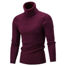 Knitted Roll Neck Turtleneck