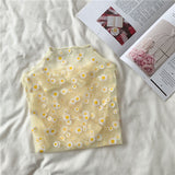 Casual Mesh Daisy Flower Top