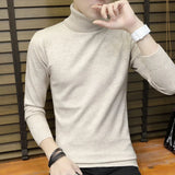 Pullover  Slim Turtleneck
