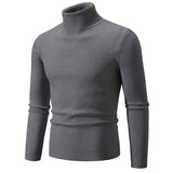 Warm Slim Turtleneck