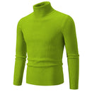 Warm Slim Turtleneck