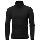Slim Fit Basic Turtleneck
