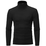 Slim Fit Basic Turtleneck