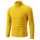 Warm Slim Turtleneck