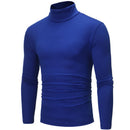 Slim Fit Basic Turtleneck