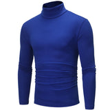 Slim Fit Basic Turtleneck