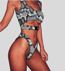 snake print bikini - For you and all