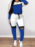 Plus Size Multi Color Sweat Suit