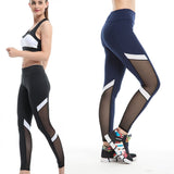 Mesh Stripe Anti Cellulite Leggings