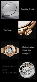 Switzerland Luxury Sapphire Watch