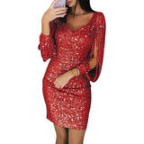 Sparkle tassel long sleeves dress - For you and all