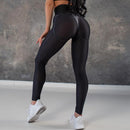 Mesh Sport Leggings