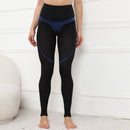 Mesh Sport Leggings