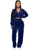 Velvet  Zipper Hoodie Crop Sweat Suit