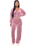 Velvet  Zipper Hoodie Crop Sweat Suit