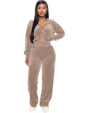 Velvet  Zipper Hoodie Crop Sweat Suit