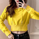 Casual Short Waist Sweater Hoodie