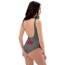 Red and Grey One-Piece Swimsuit